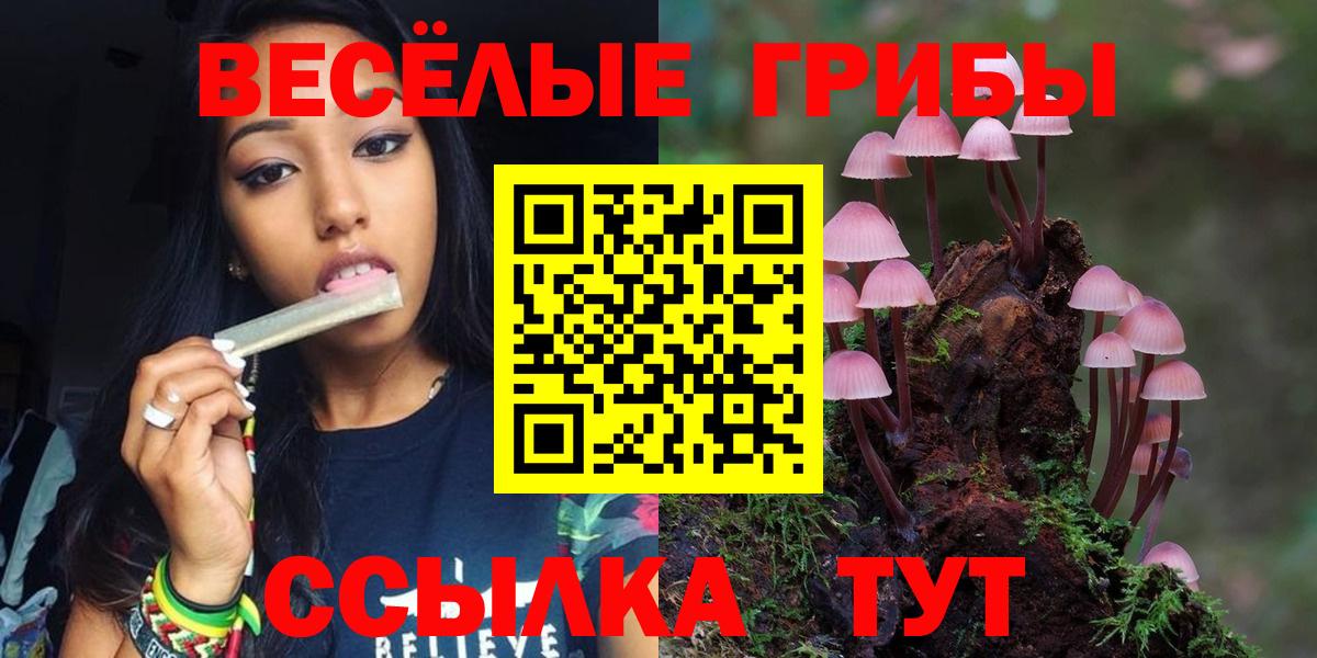 Псилоцибиновые грибы MAGIC MUSHROOMS Йошкар-Ола